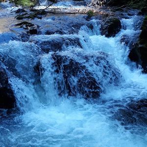 Meet your Posher, Jan